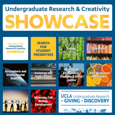 Thumbnail of Showcase tiles